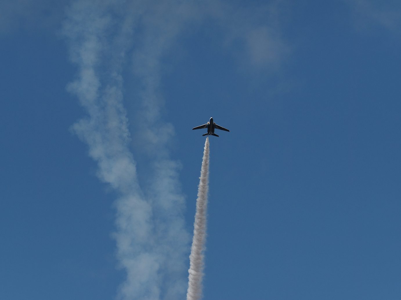 PB261287.jpg
