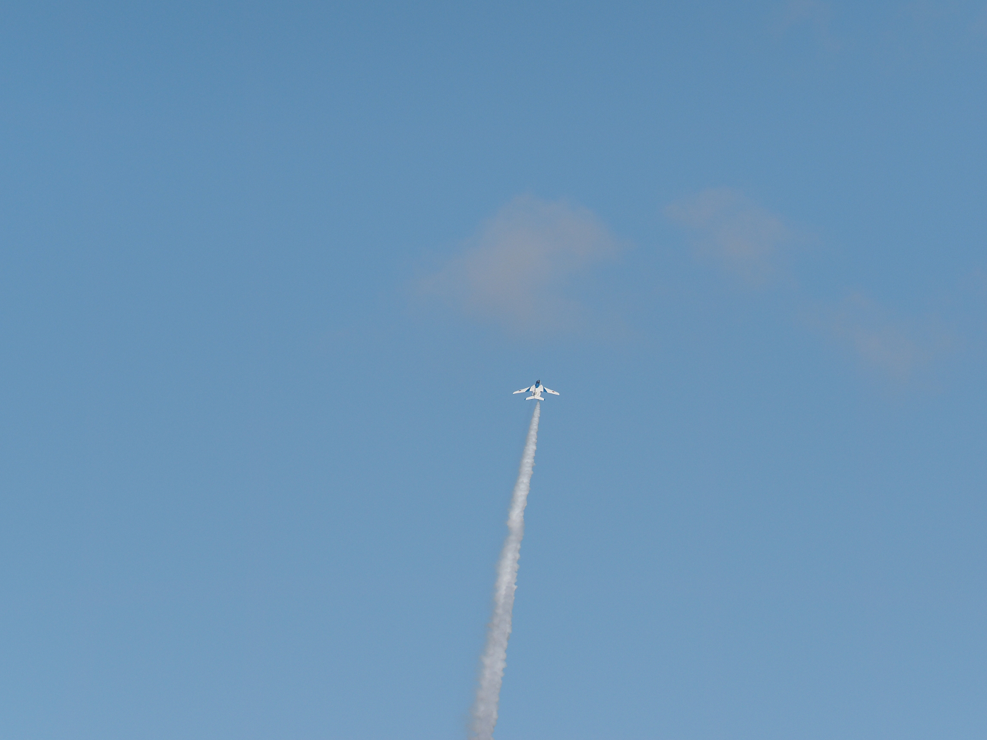 PB261318.jpg