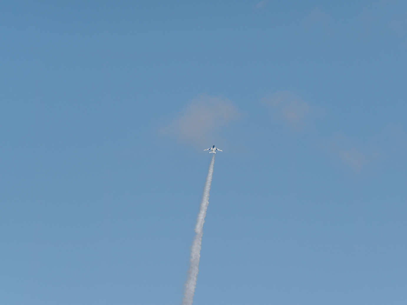 PB261320.jpg