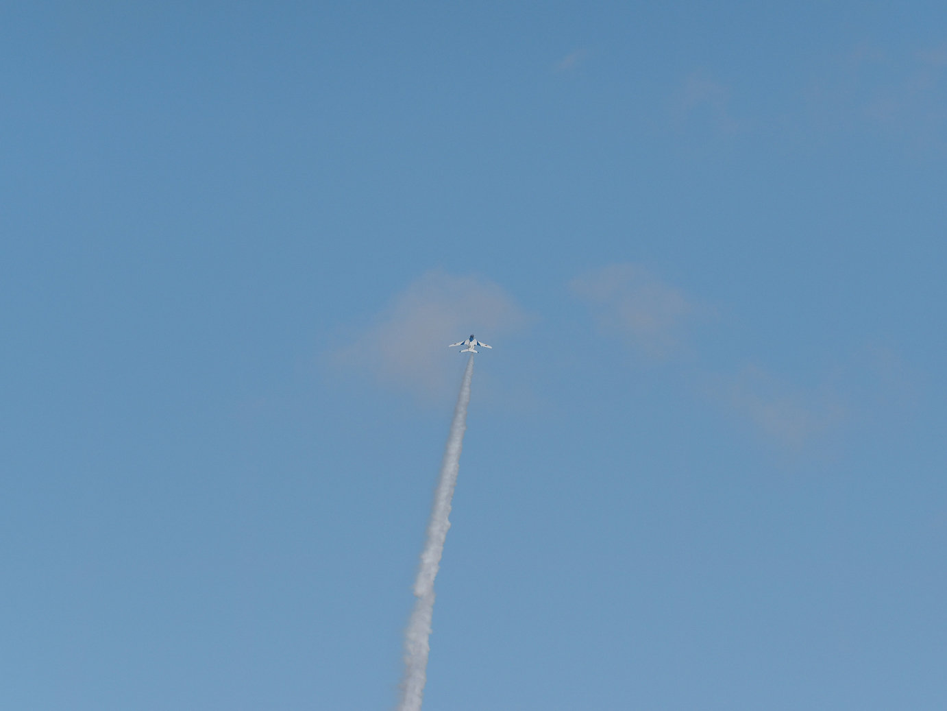 PB261322.jpg