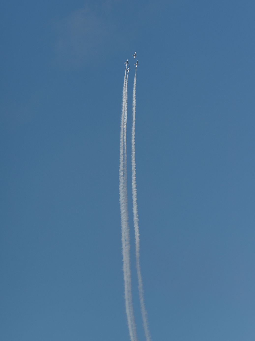 PB261391.jpg