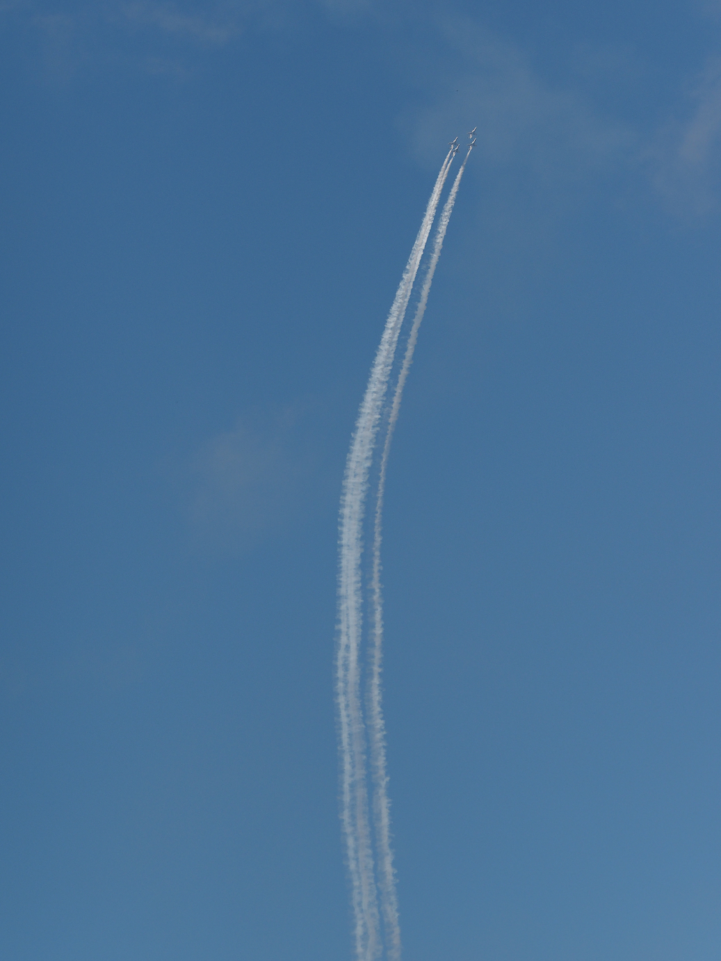 PB261395.jpg