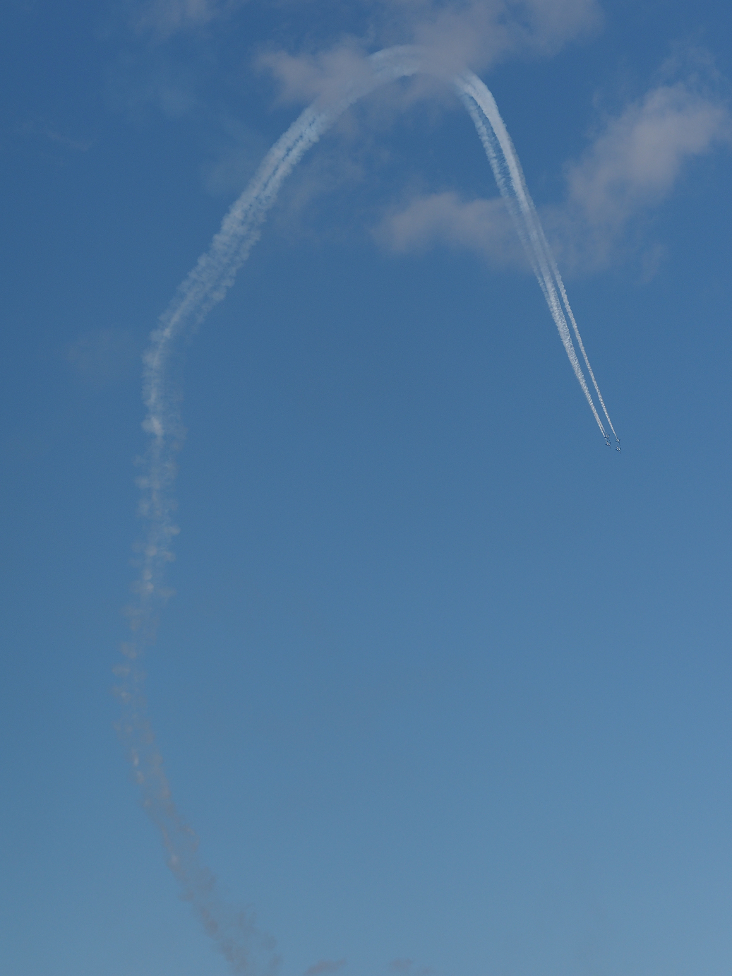 PB261405.jpg