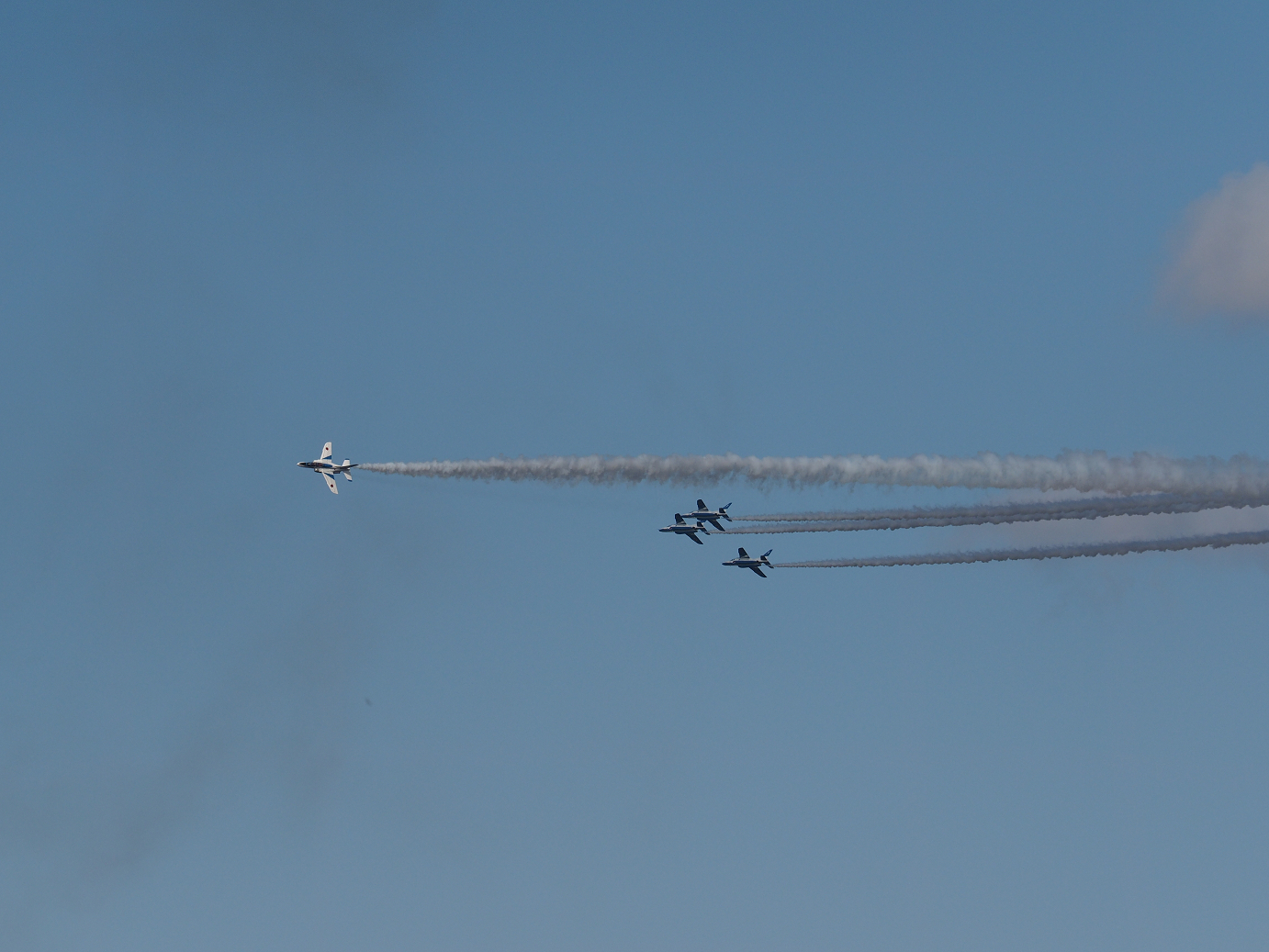 PB261456.jpg