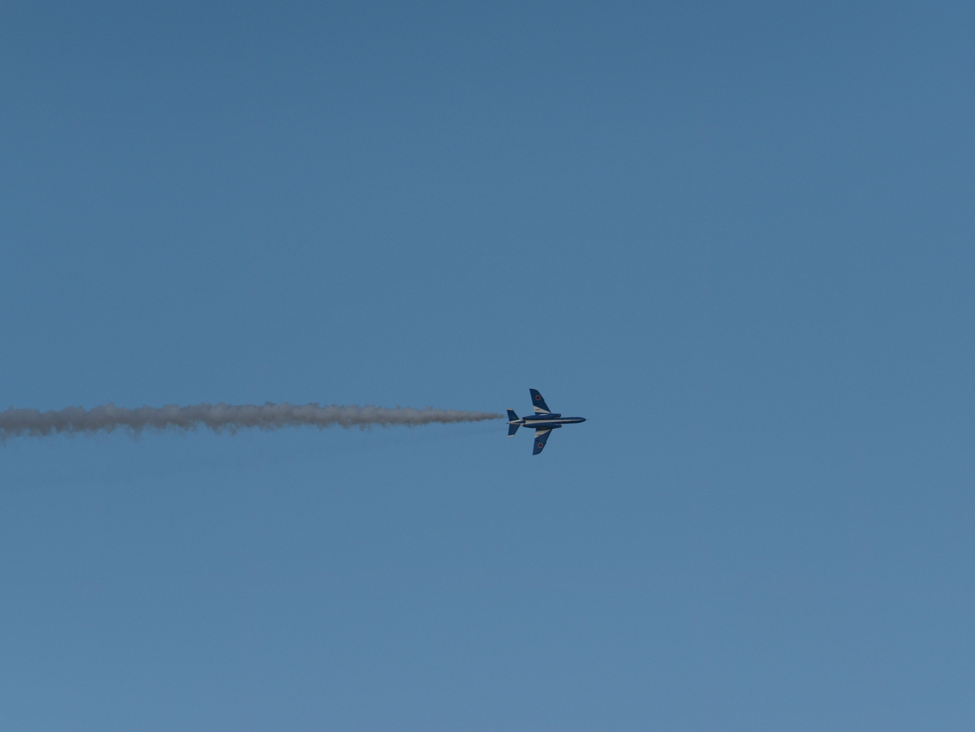 PB261464.jpg
