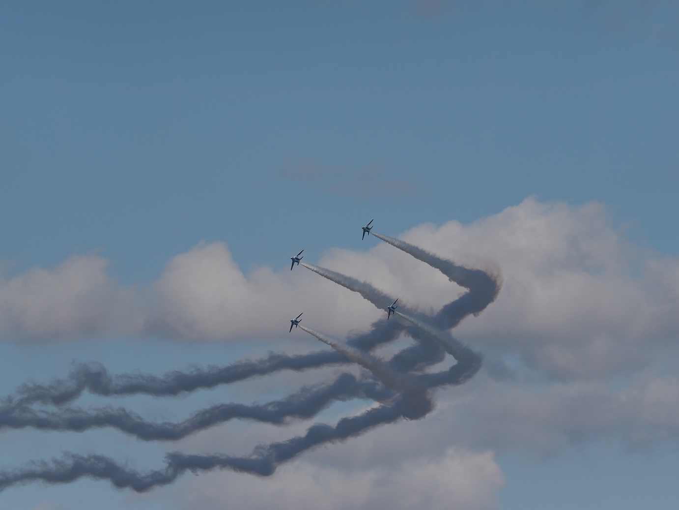 PB261476.jpg