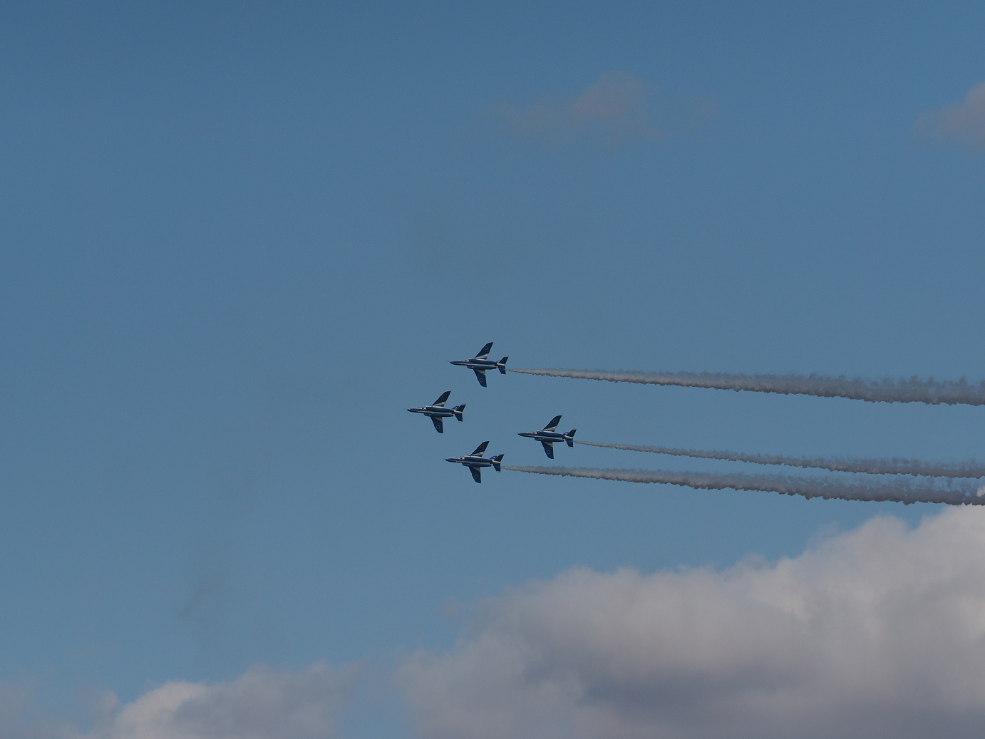 PB261505.jpg