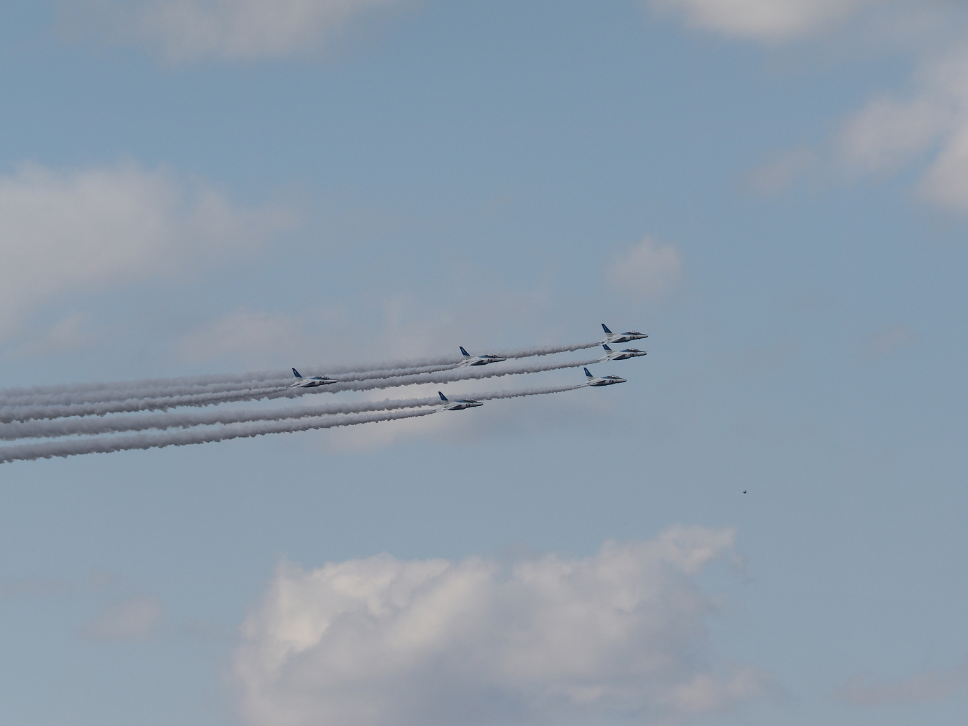 PB261751.jpg