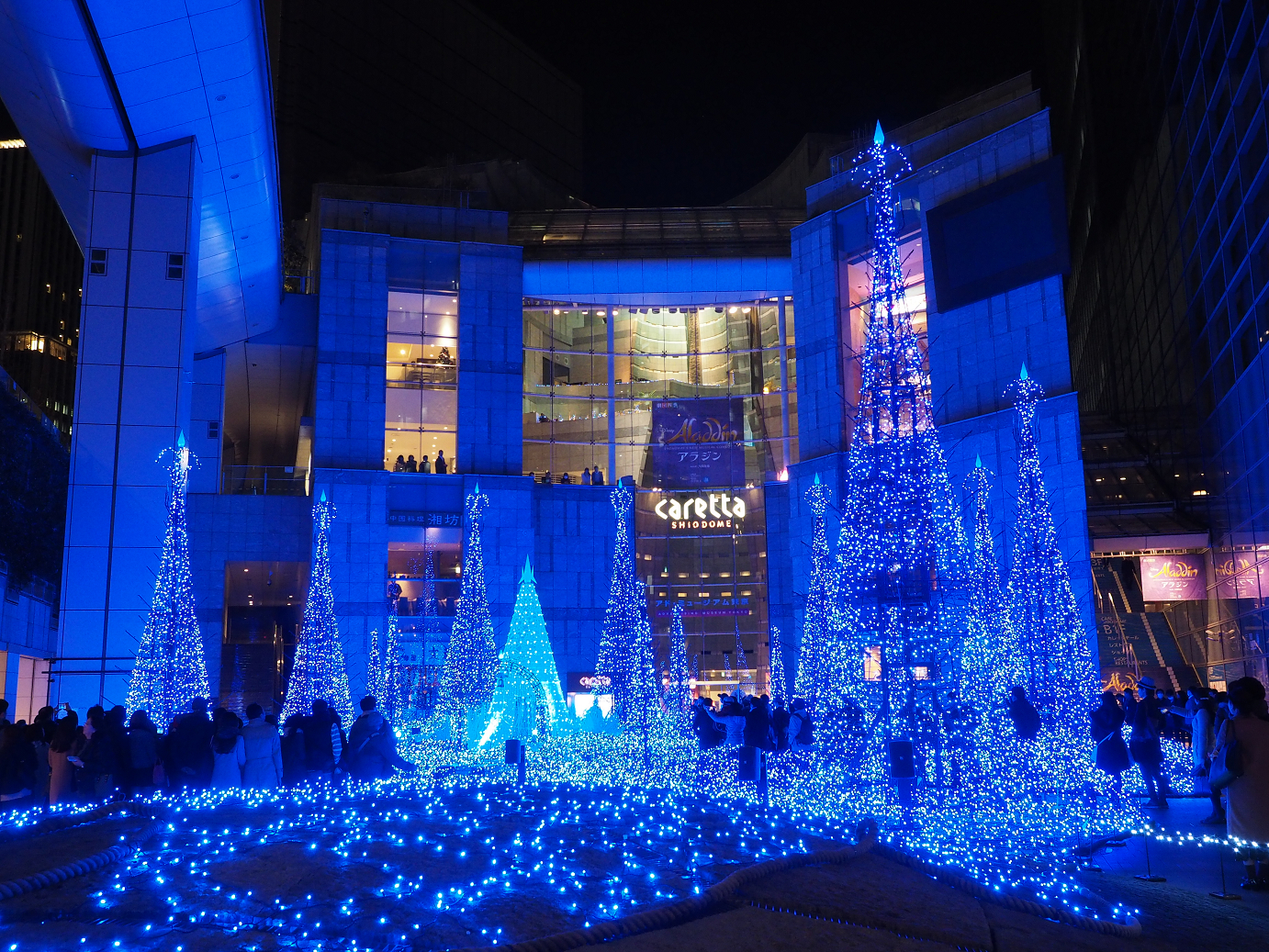 PC140111.jpg