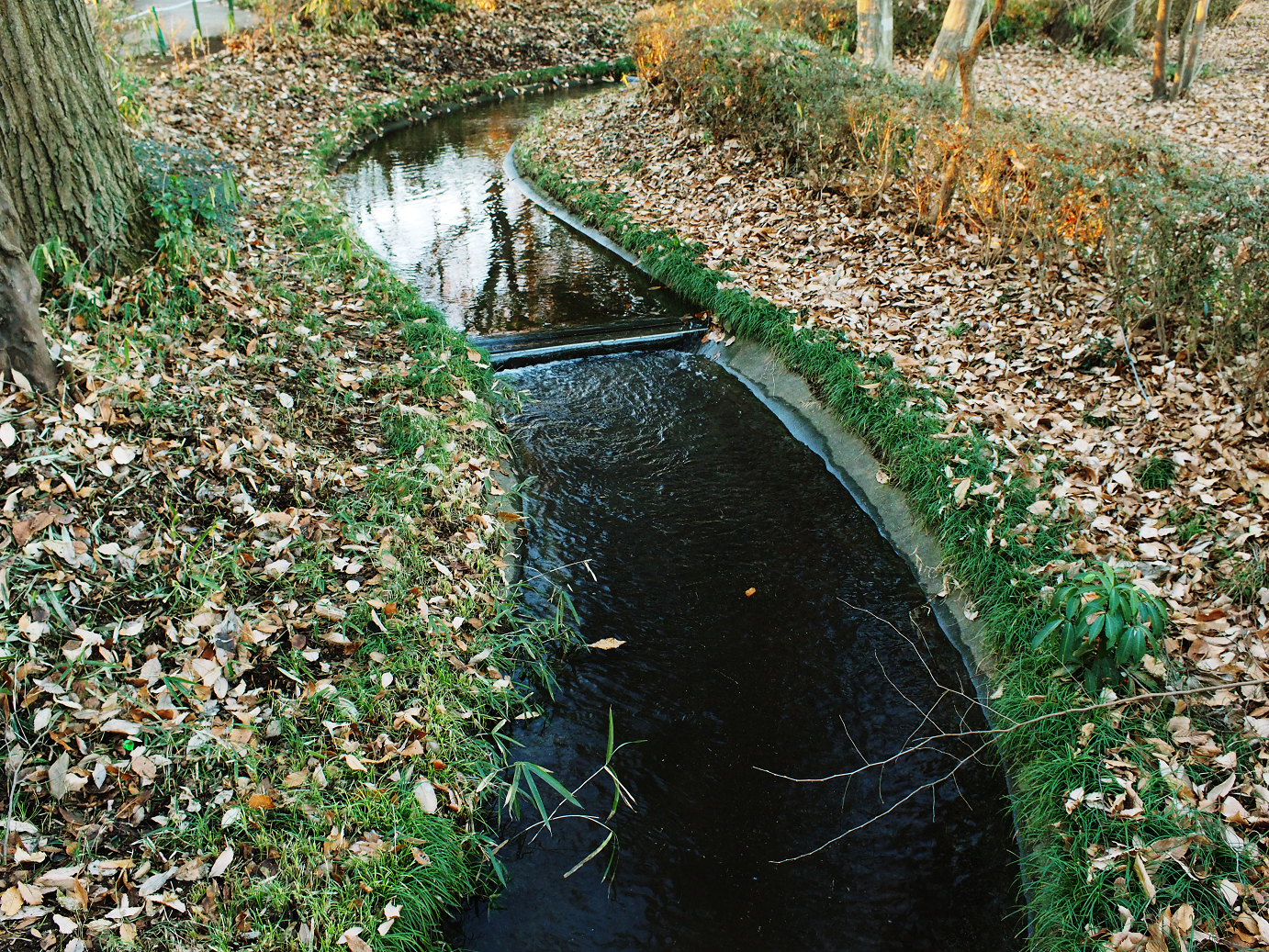 PC170022.jpg