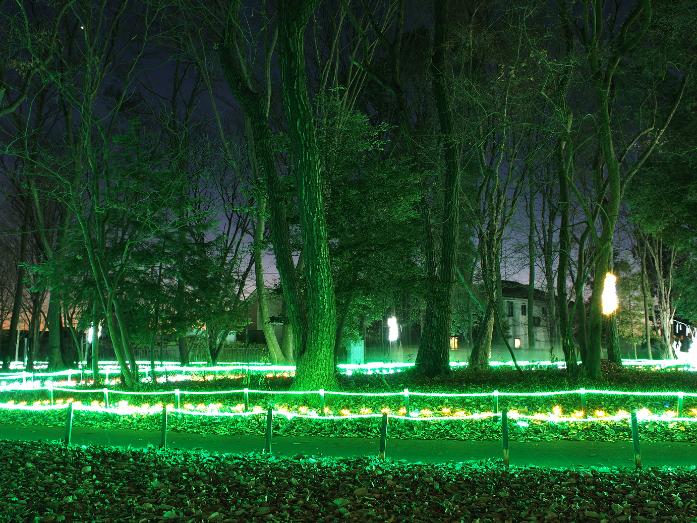 PC170109.jpg