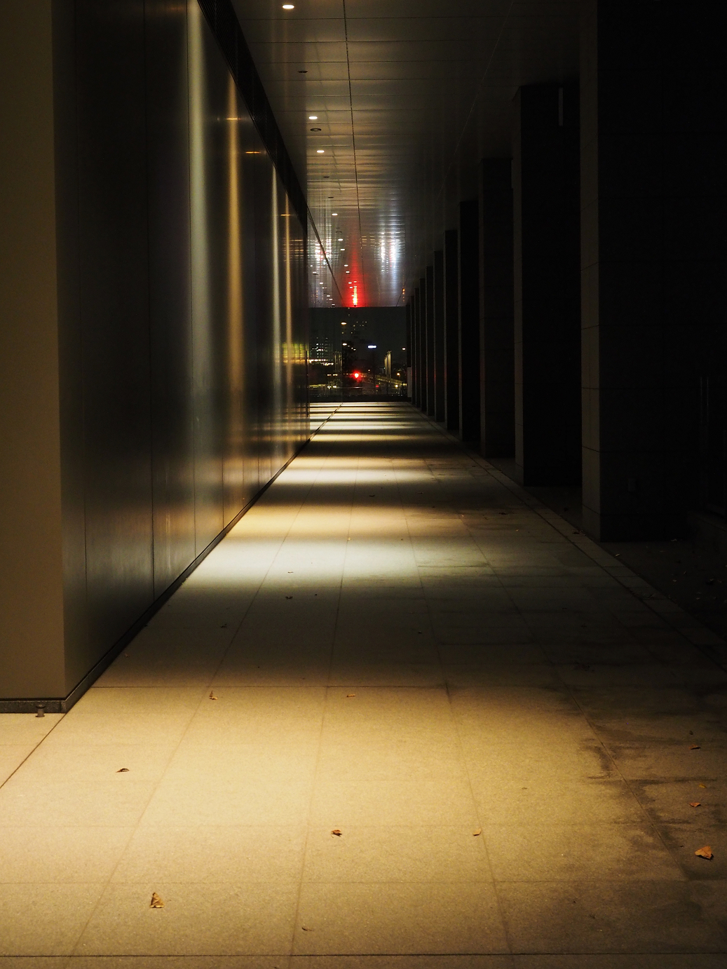 PC220213.jpg