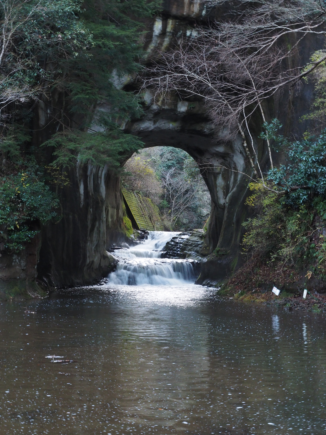 PC230261.jpg