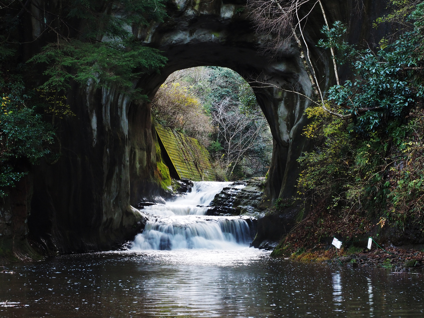 PC230269.jpg