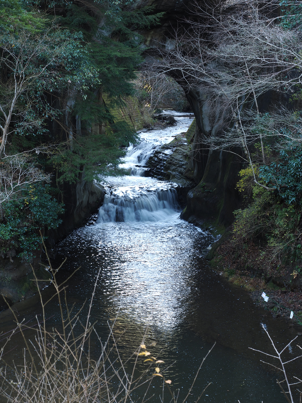 PC230345.jpg