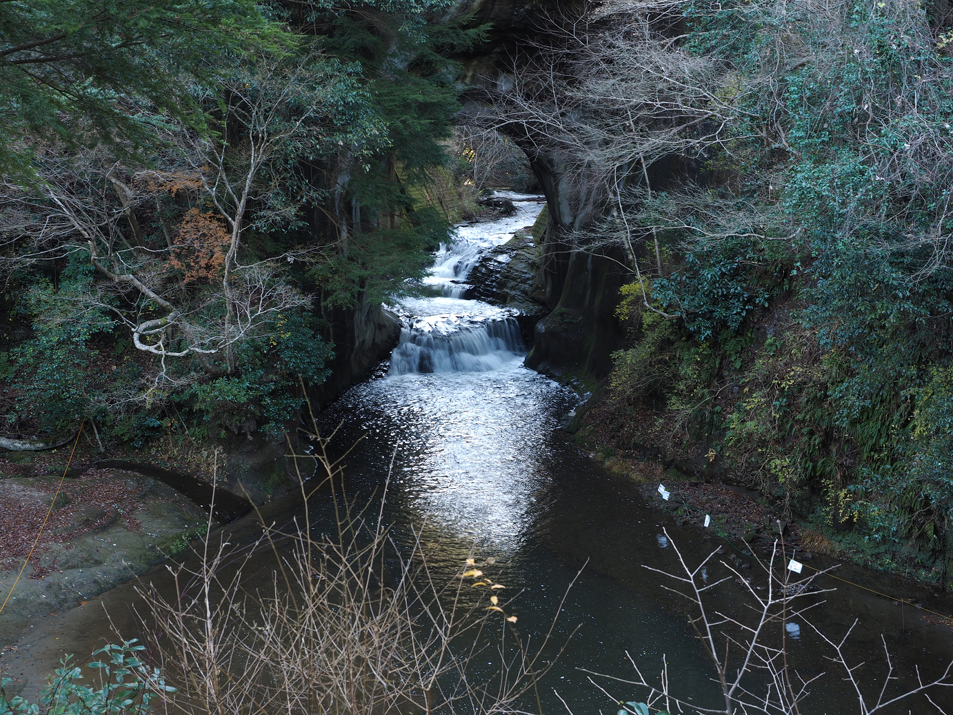 PC230347.jpg