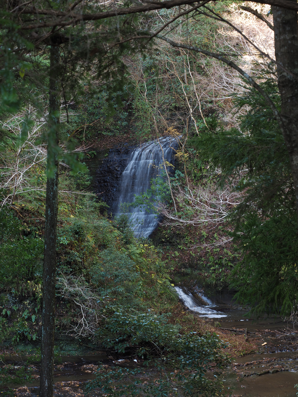 PC230352.jpg