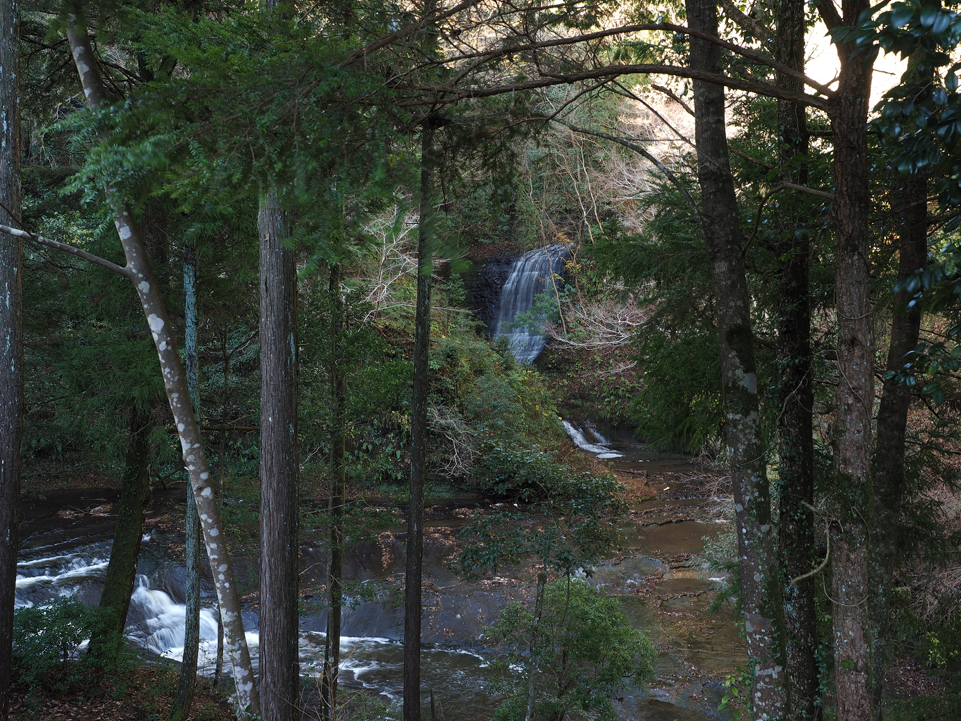 PC230353.jpg