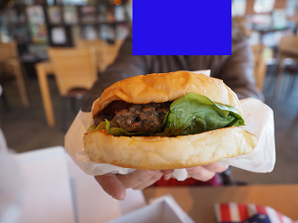 PC230392_thumb.png