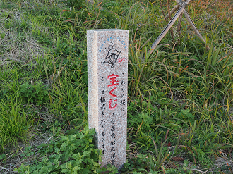 PC230490_thumb.png
