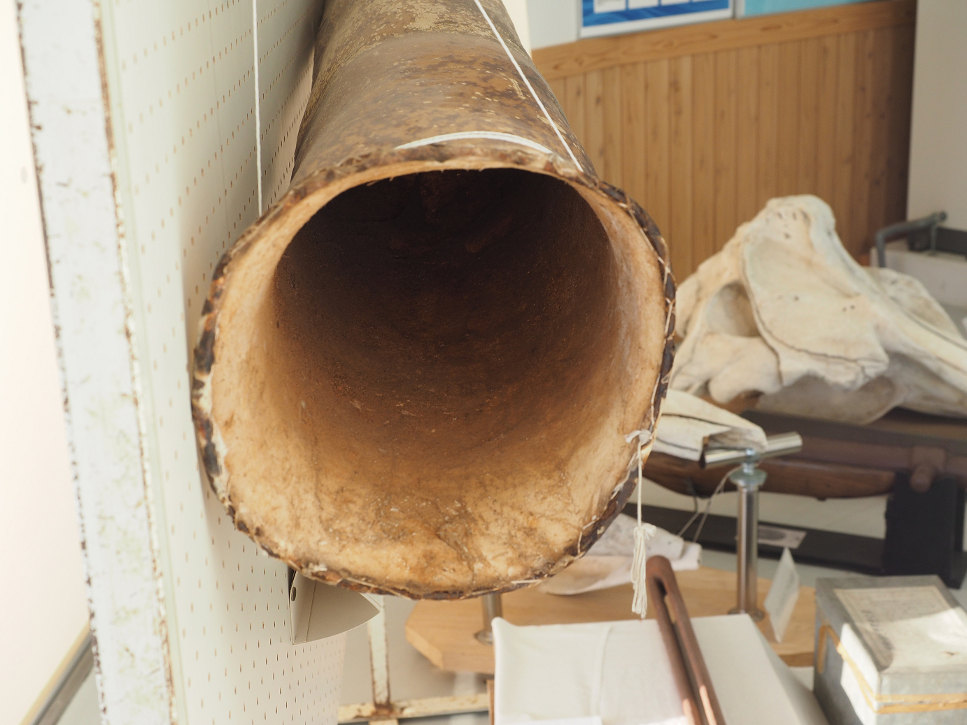 PC230494.jpg