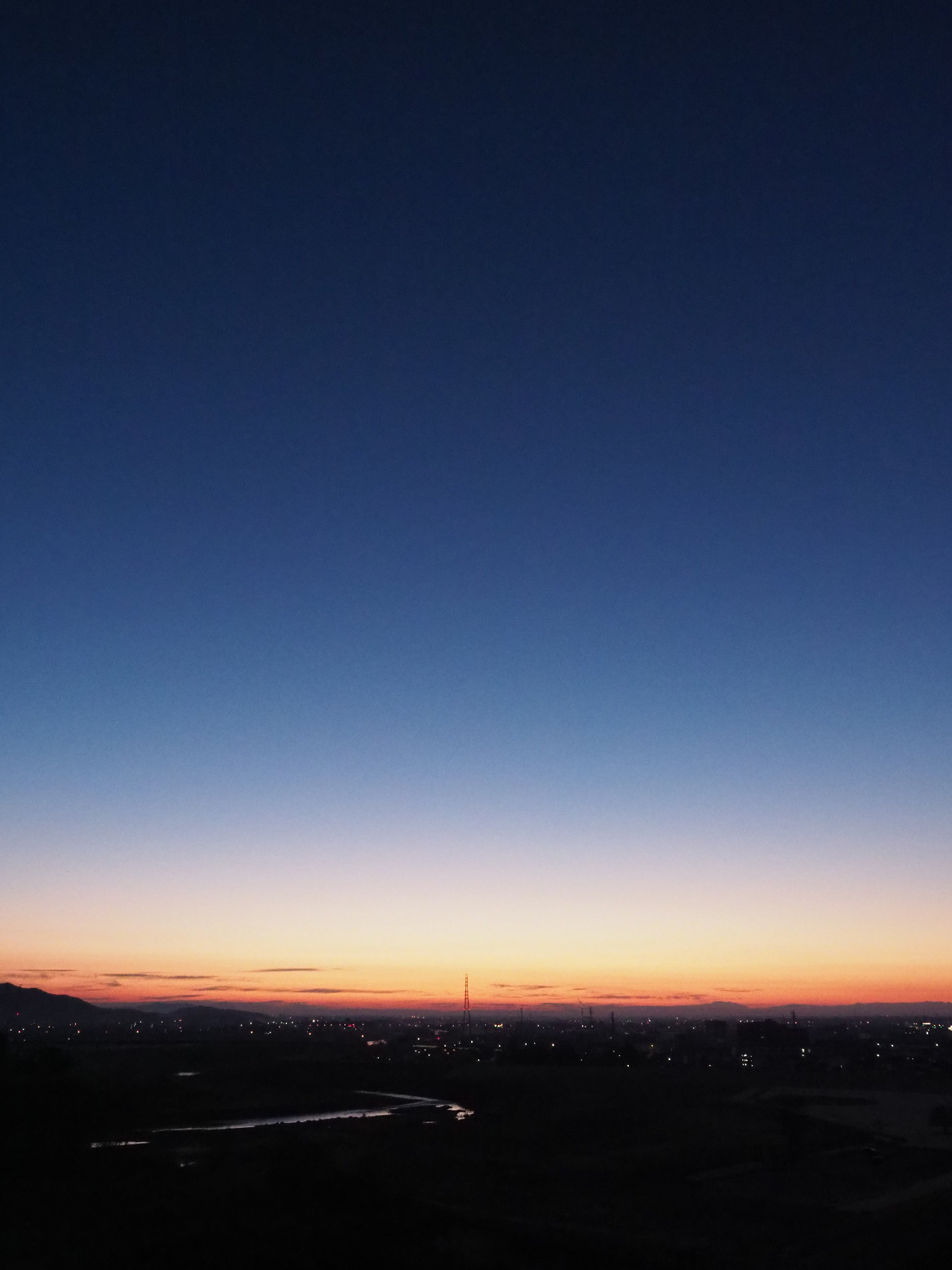 P1010059.jpg