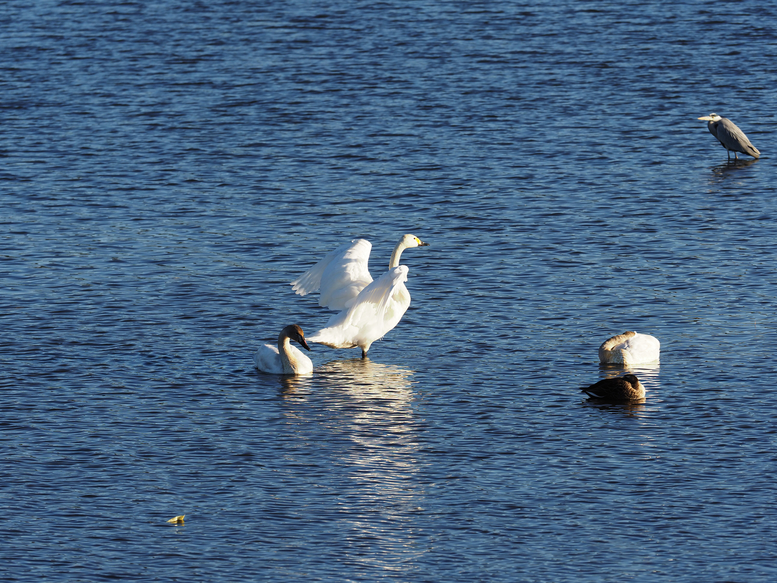 P1010156.jpg