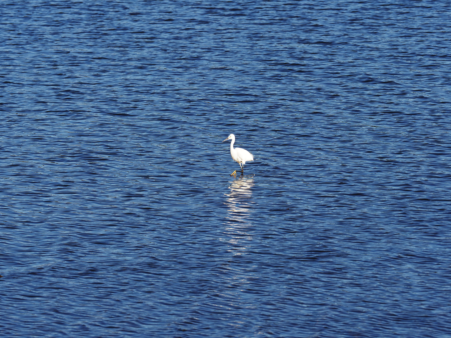 P1010205.jpg