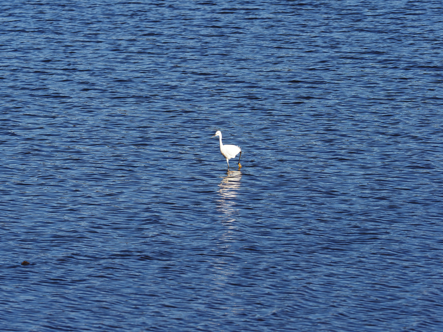 P1010208.jpg