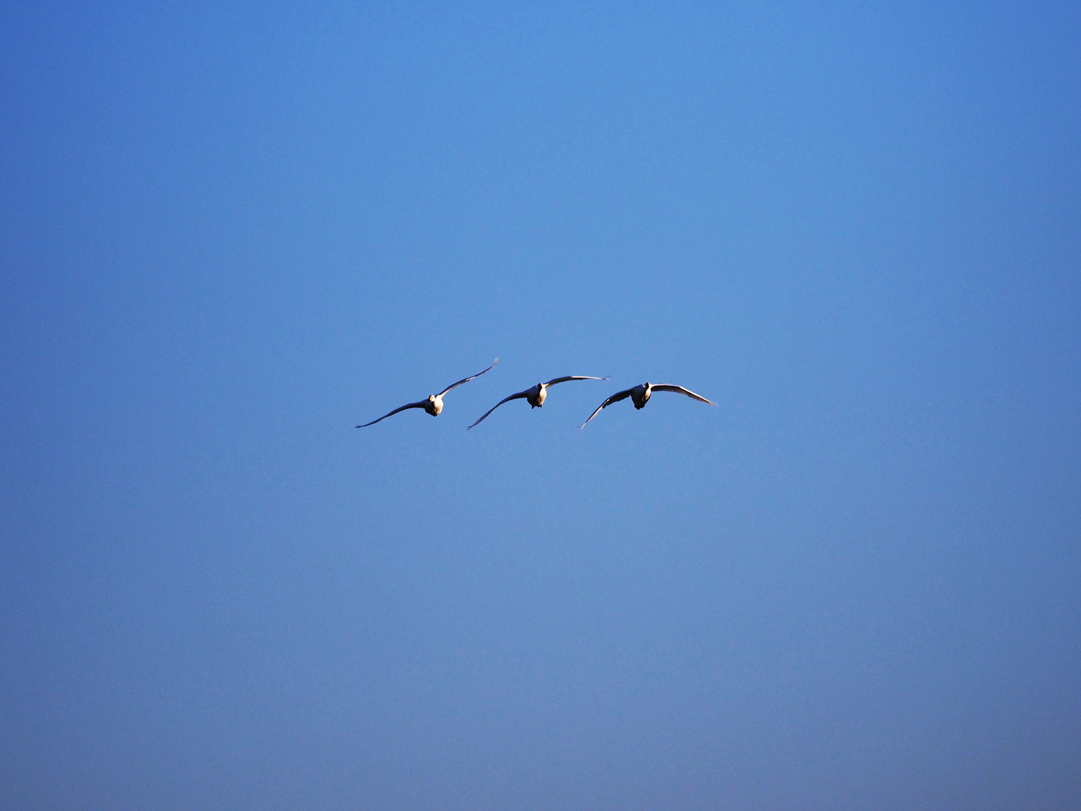 P1010324.jpg
