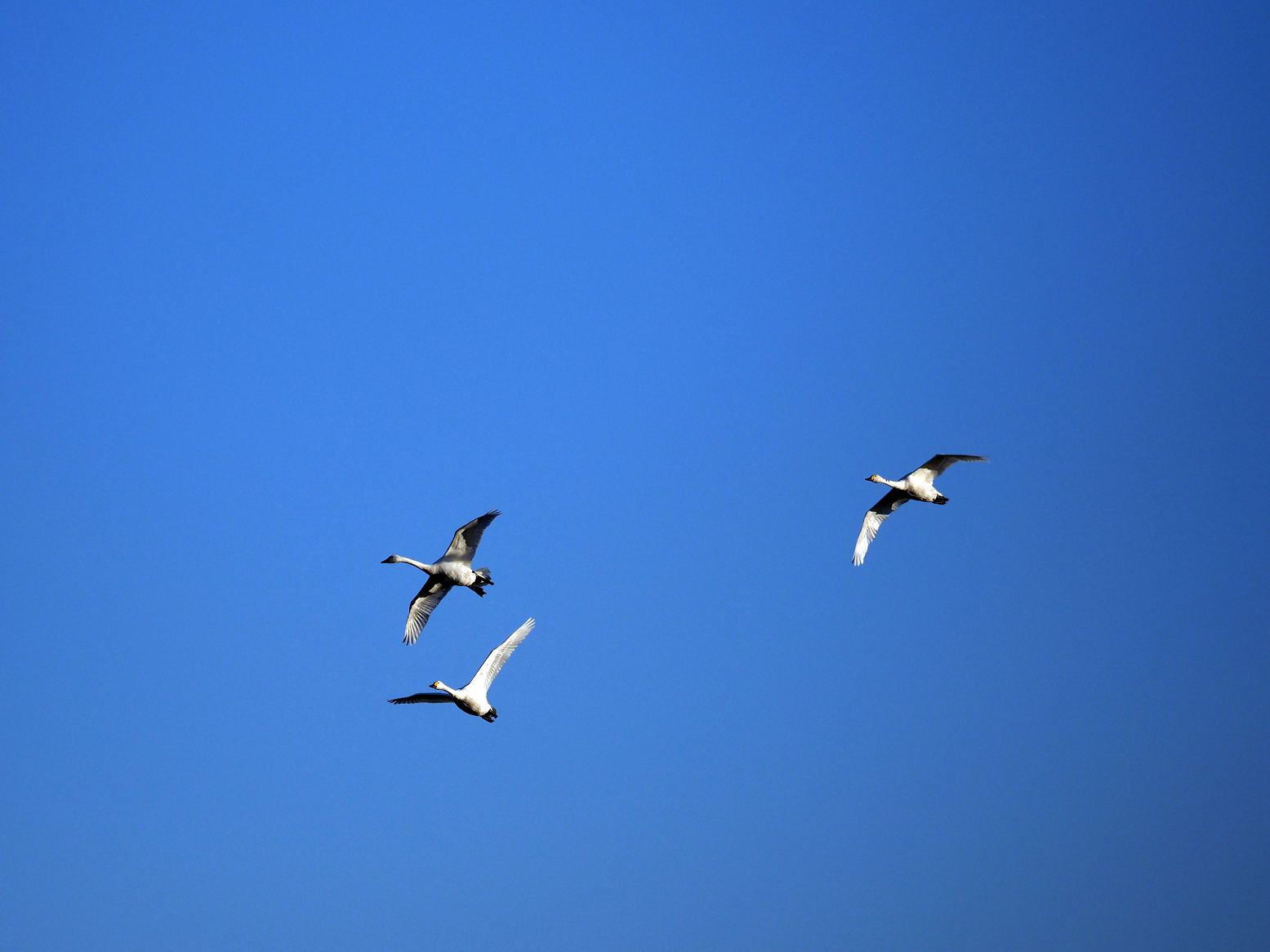 P1010325.jpg