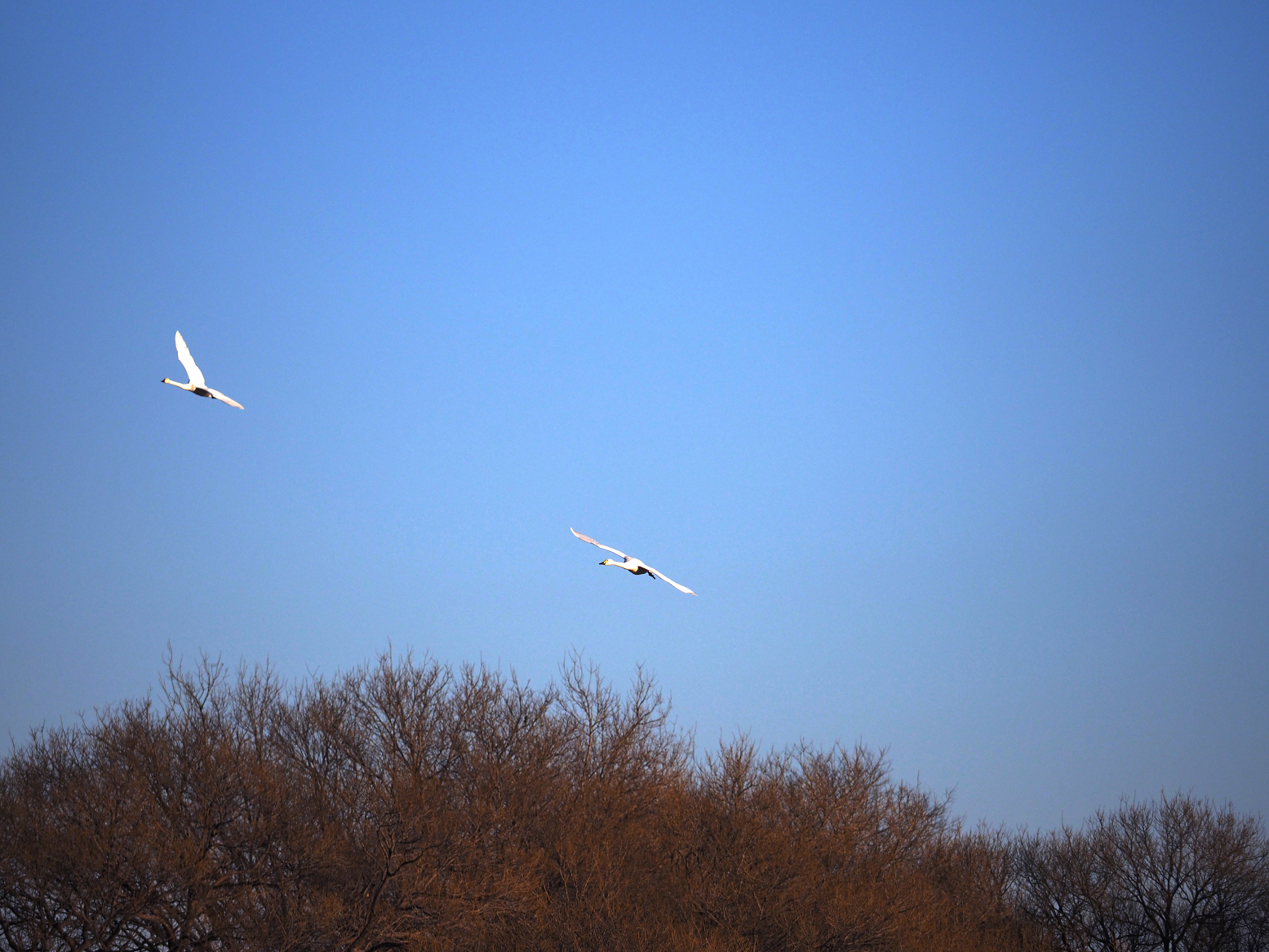P1010336.jpg