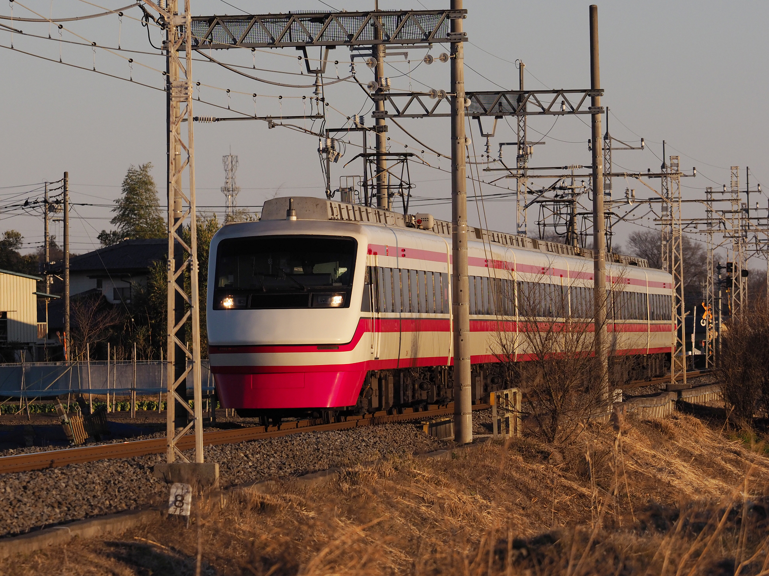 P1010391.jpg