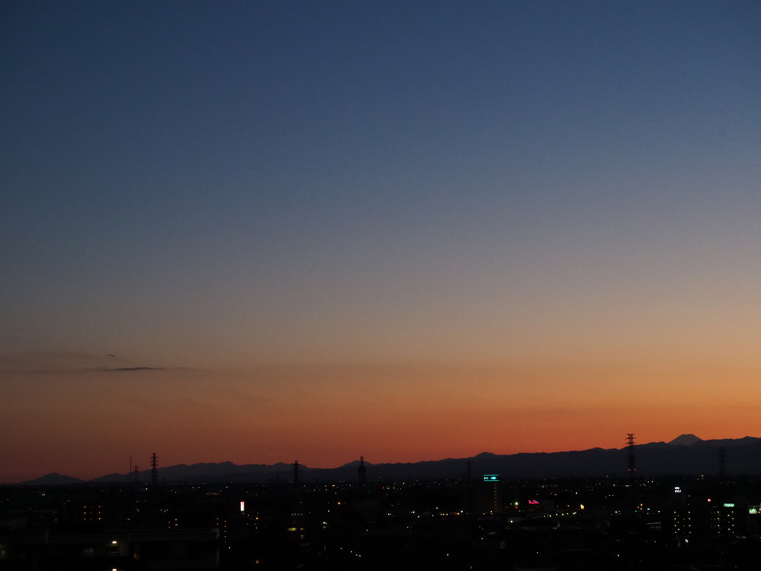 P1010428.jpg