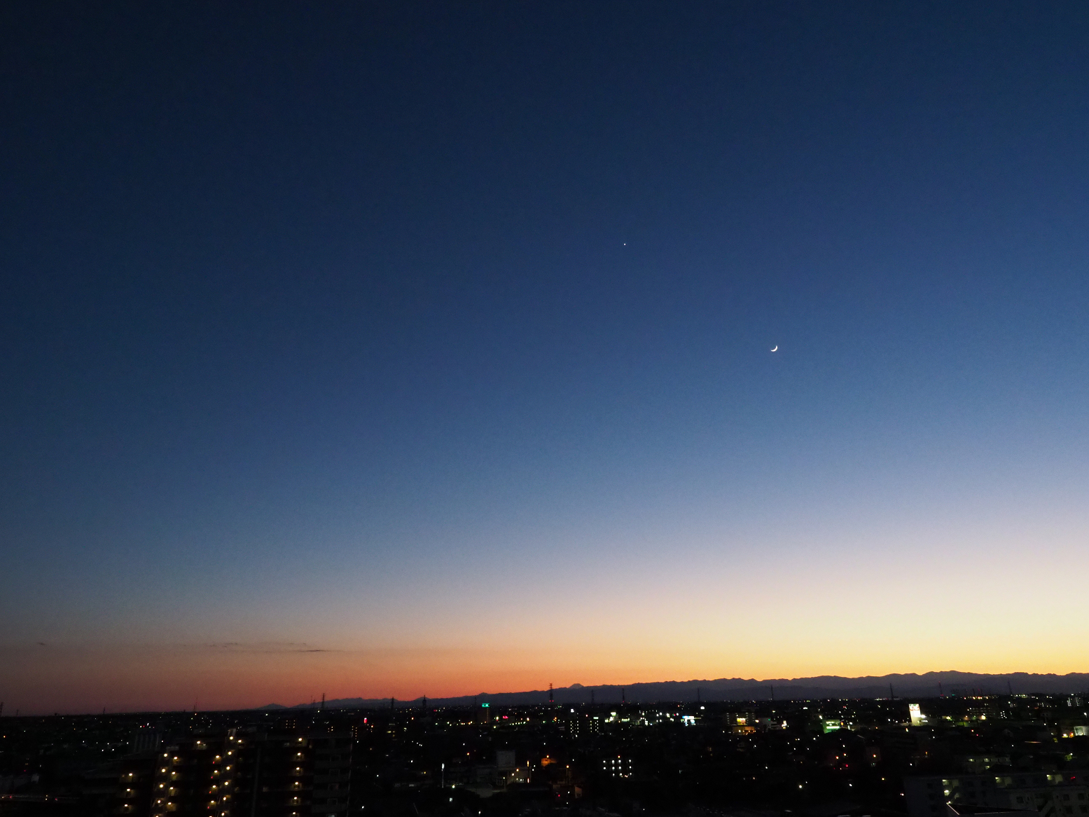 P1010429.jpg