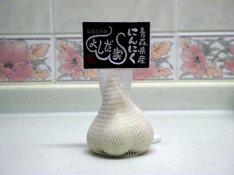 P1040250_thumb.png