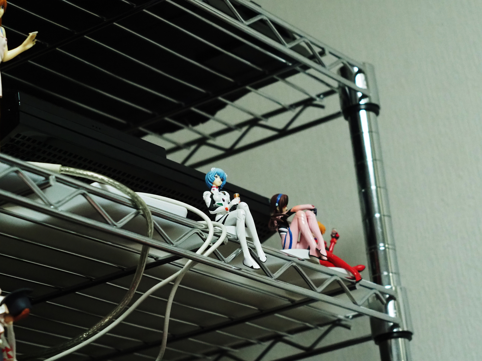 P1080417.jpg