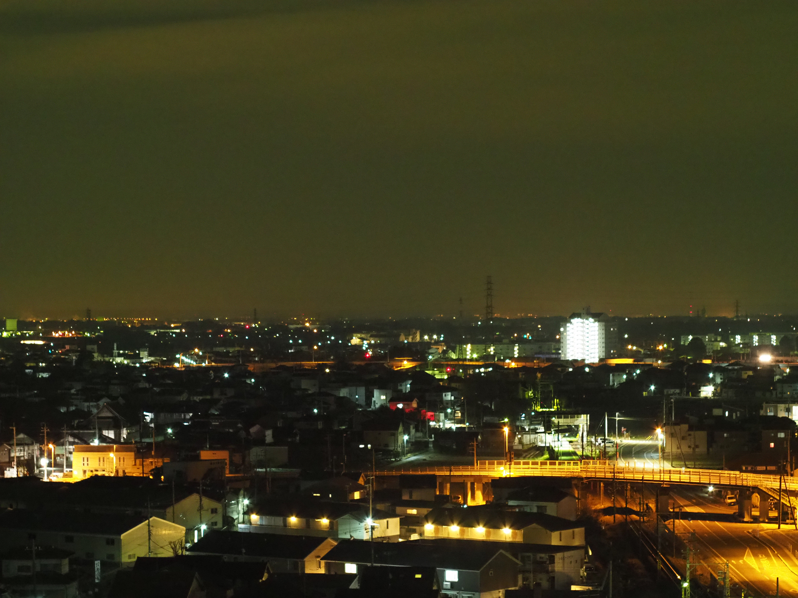 P1080429.jpg