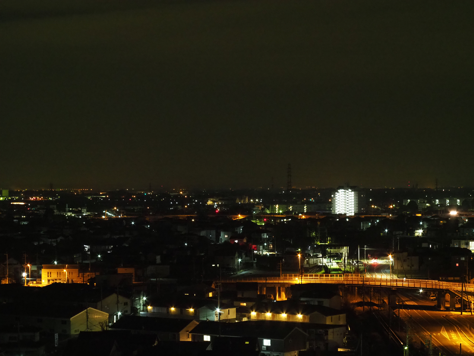P1080431.jpg