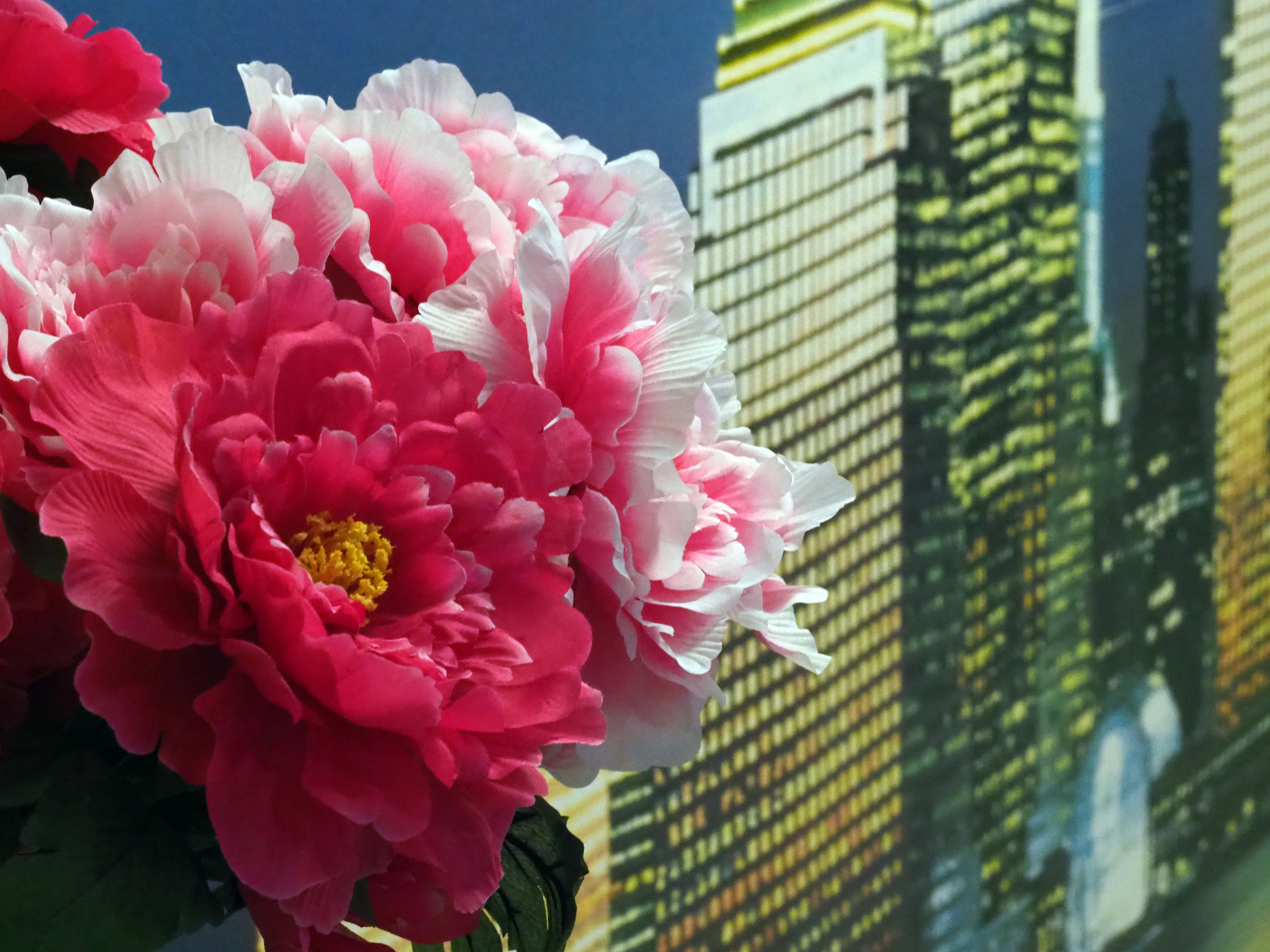 P1080454.jpg