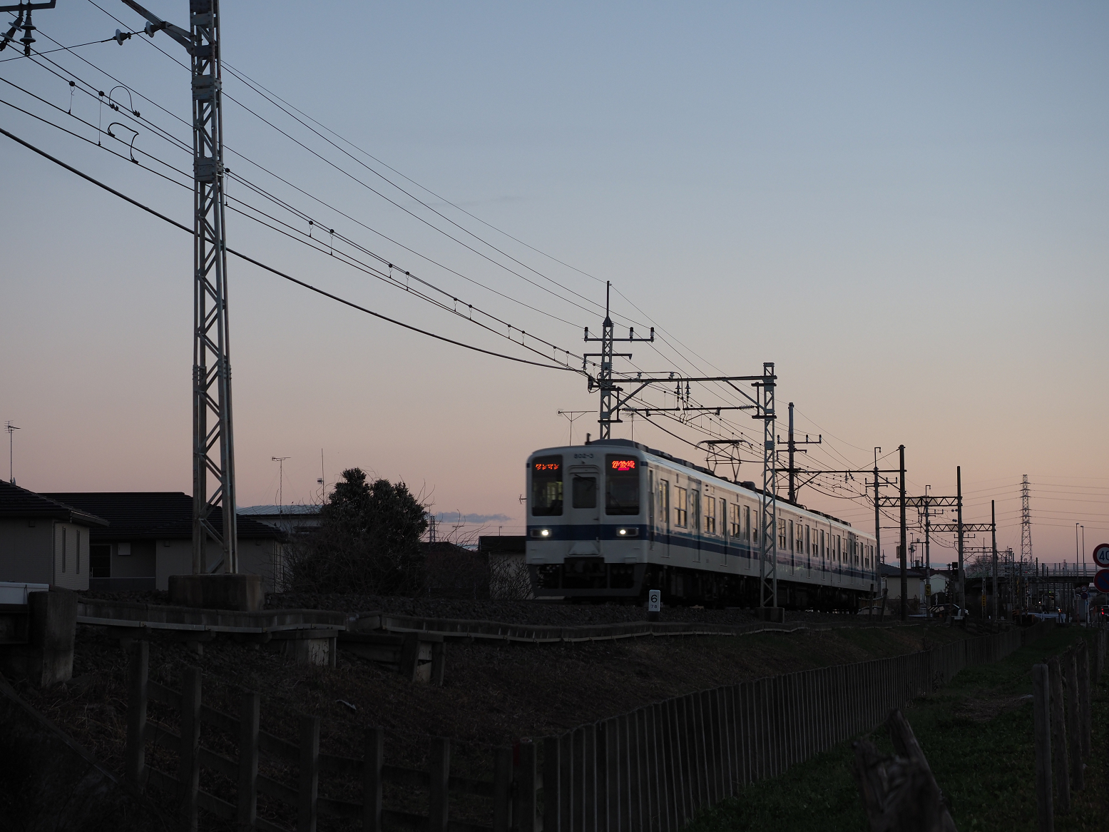 P1090018.jpg