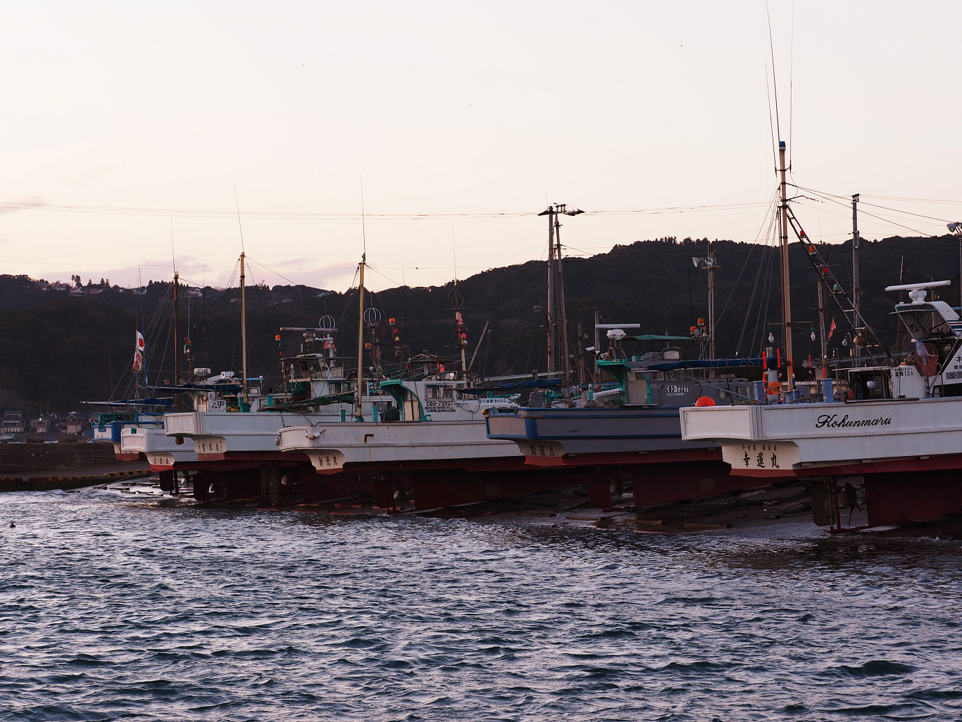 P1130076.jpg