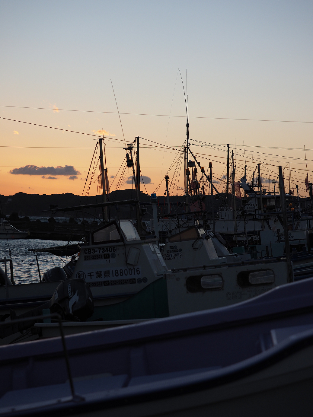 P1130093.jpg