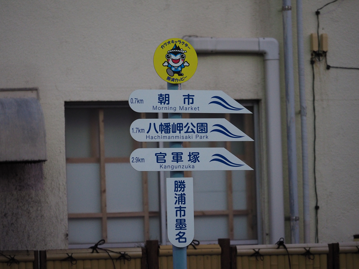 P1130094.jpg