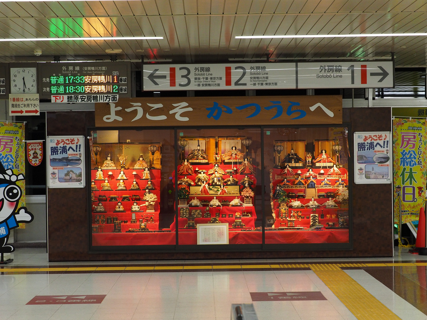 P1130101.jpg