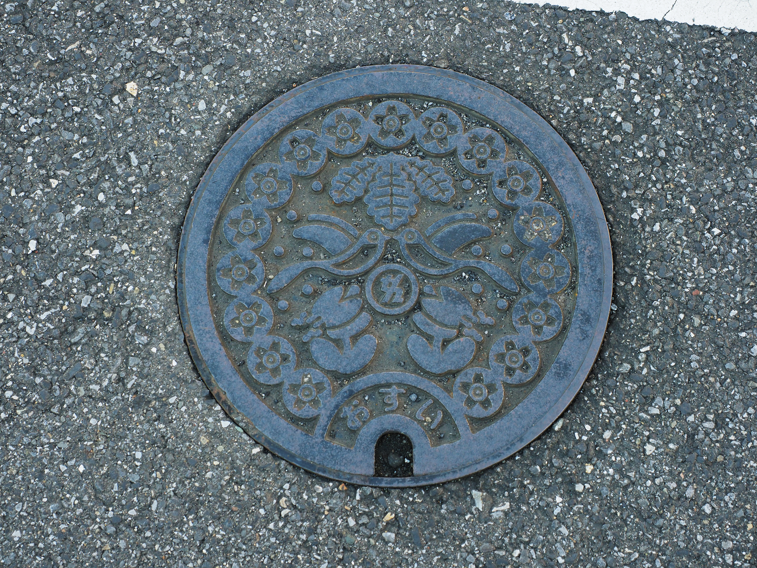 P1130006.jpg