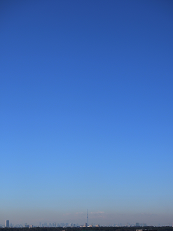 P1130014_thumb.png