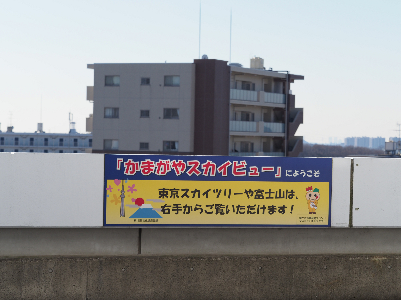 P1130016.jpg