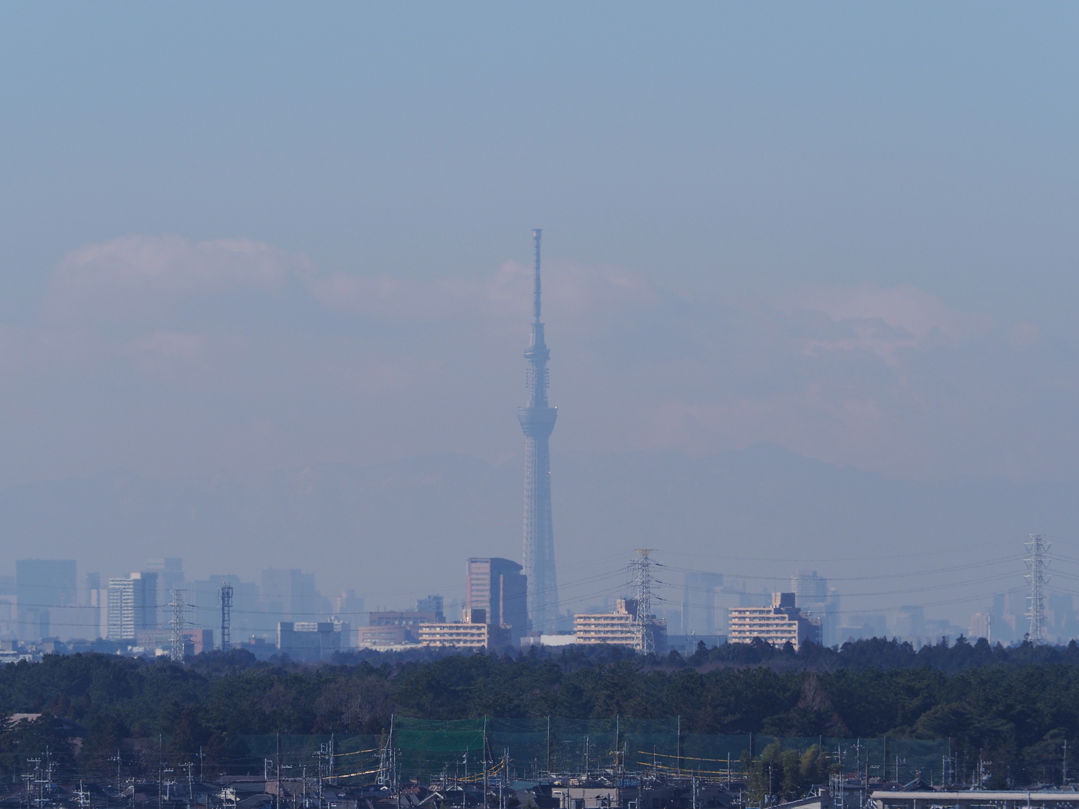 P1130017.jpg