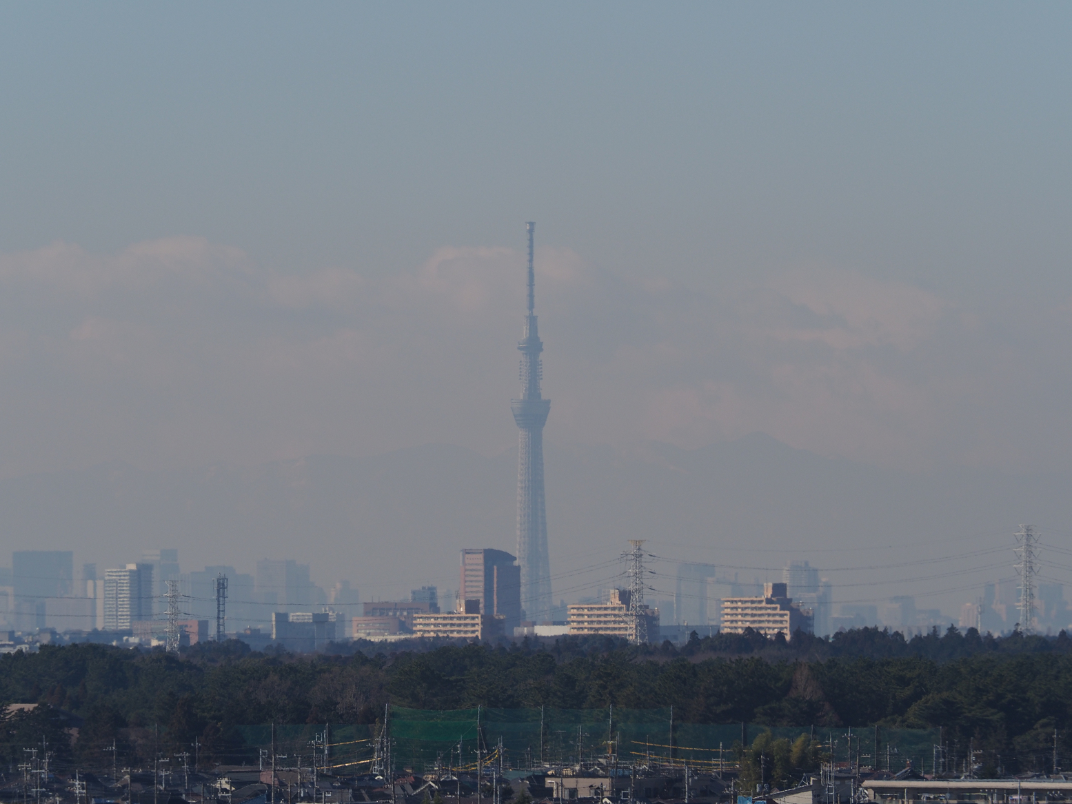 P1130024.jpg